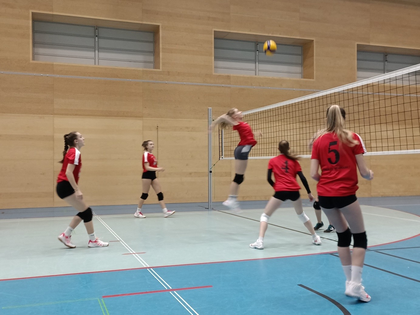 Volleyball Landesmeisterschaften Damen und Herren--Bild-Nr. 5