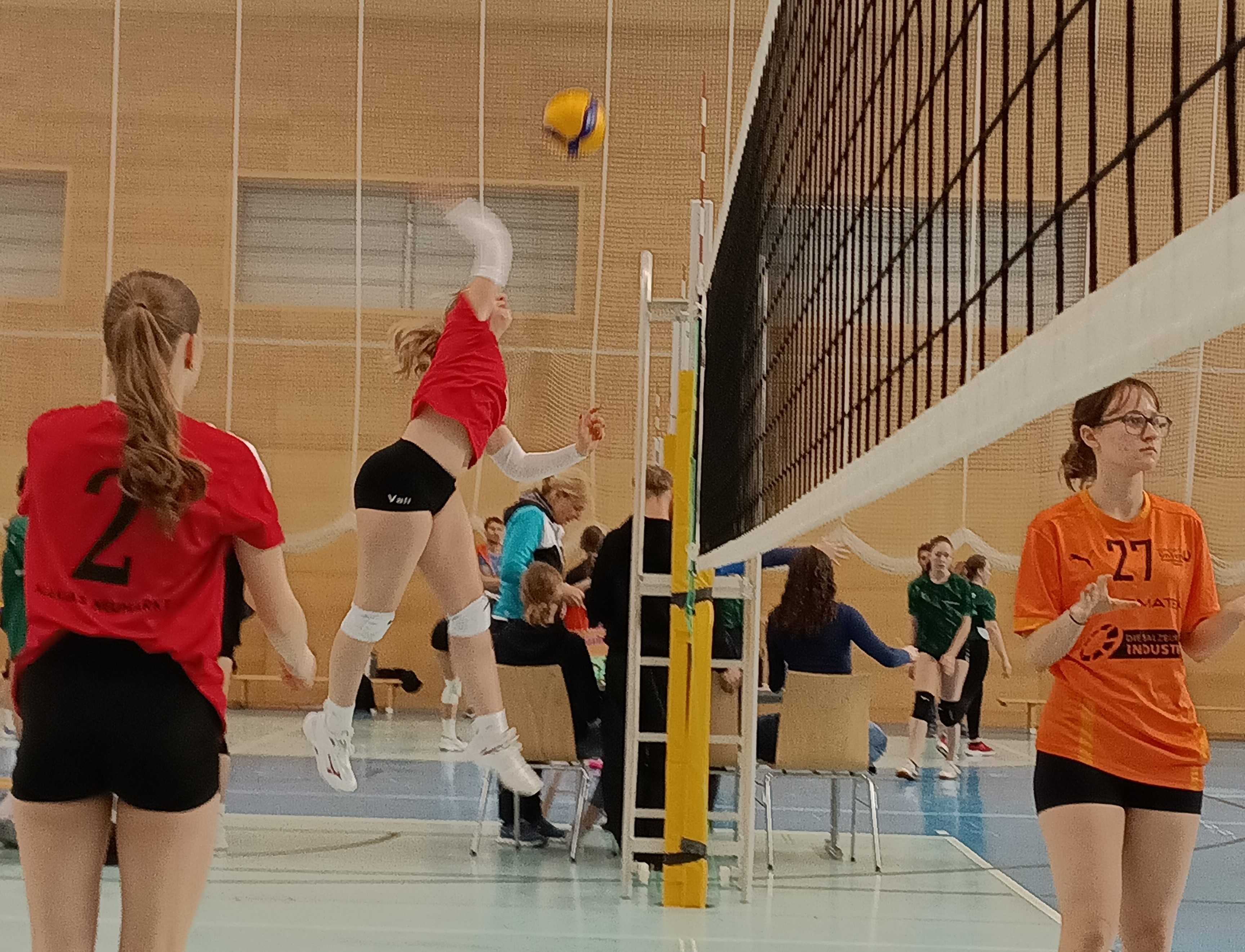 Vize-Landesmeisterinnen im Volleyball 2024!--Bild-Nr. 2