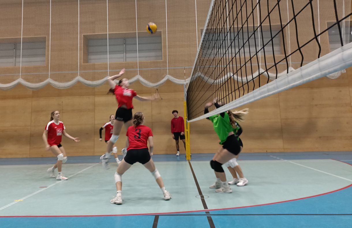 Volleyball Landesmeisterschaften der Damen 28.11.2024--Bild-Nr. 4