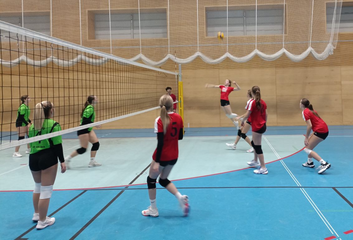 Volleyball Landesmeisterschaften der Damen 28.11.2024--Bild-Nr. 5
