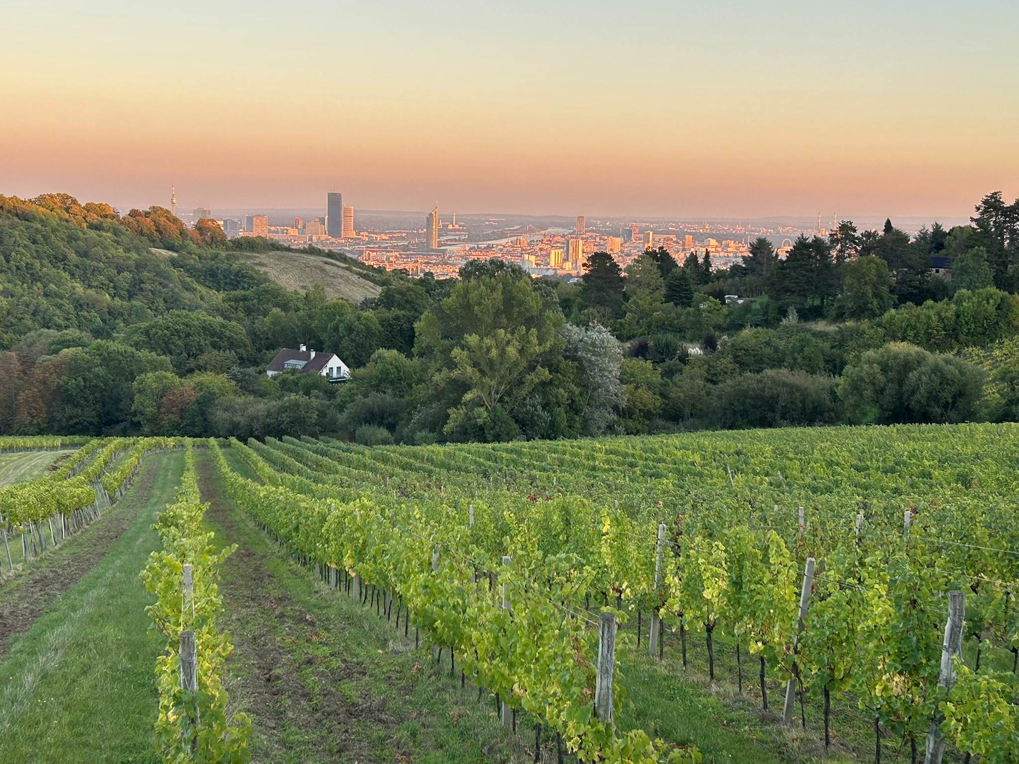 Kolleg:innenfahrt nach Wien-Bratislava--Bild-Nr. 2