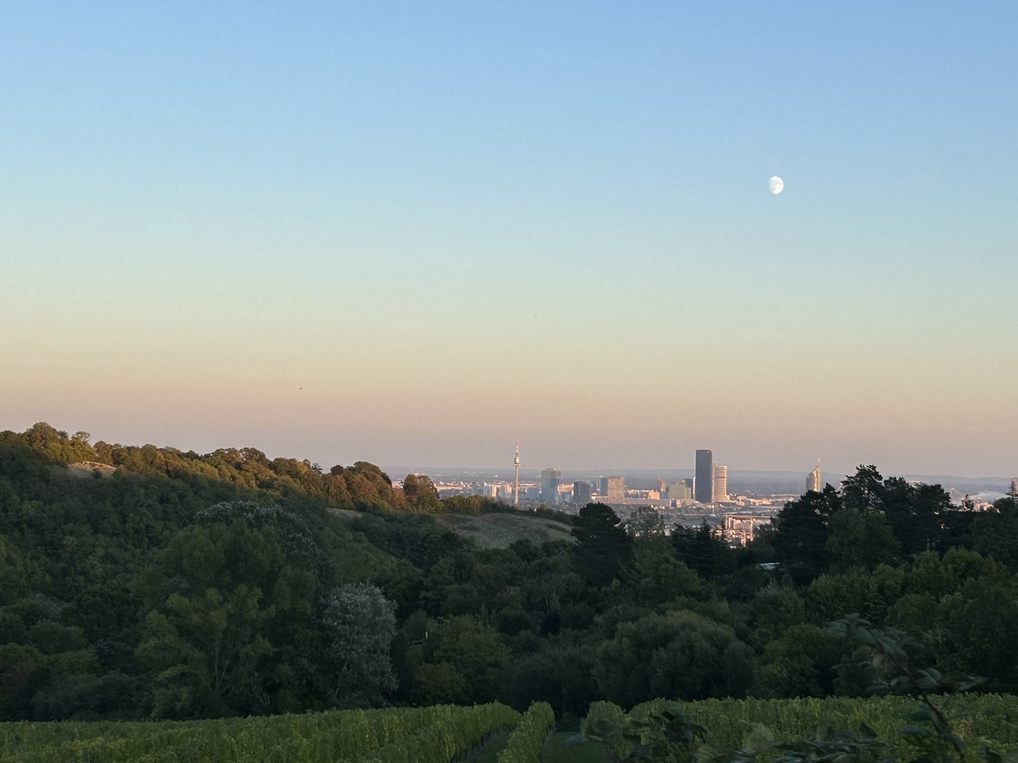Kolleg:innenfahrt nach Wien-Bratislava--Bild-Nr. 3
