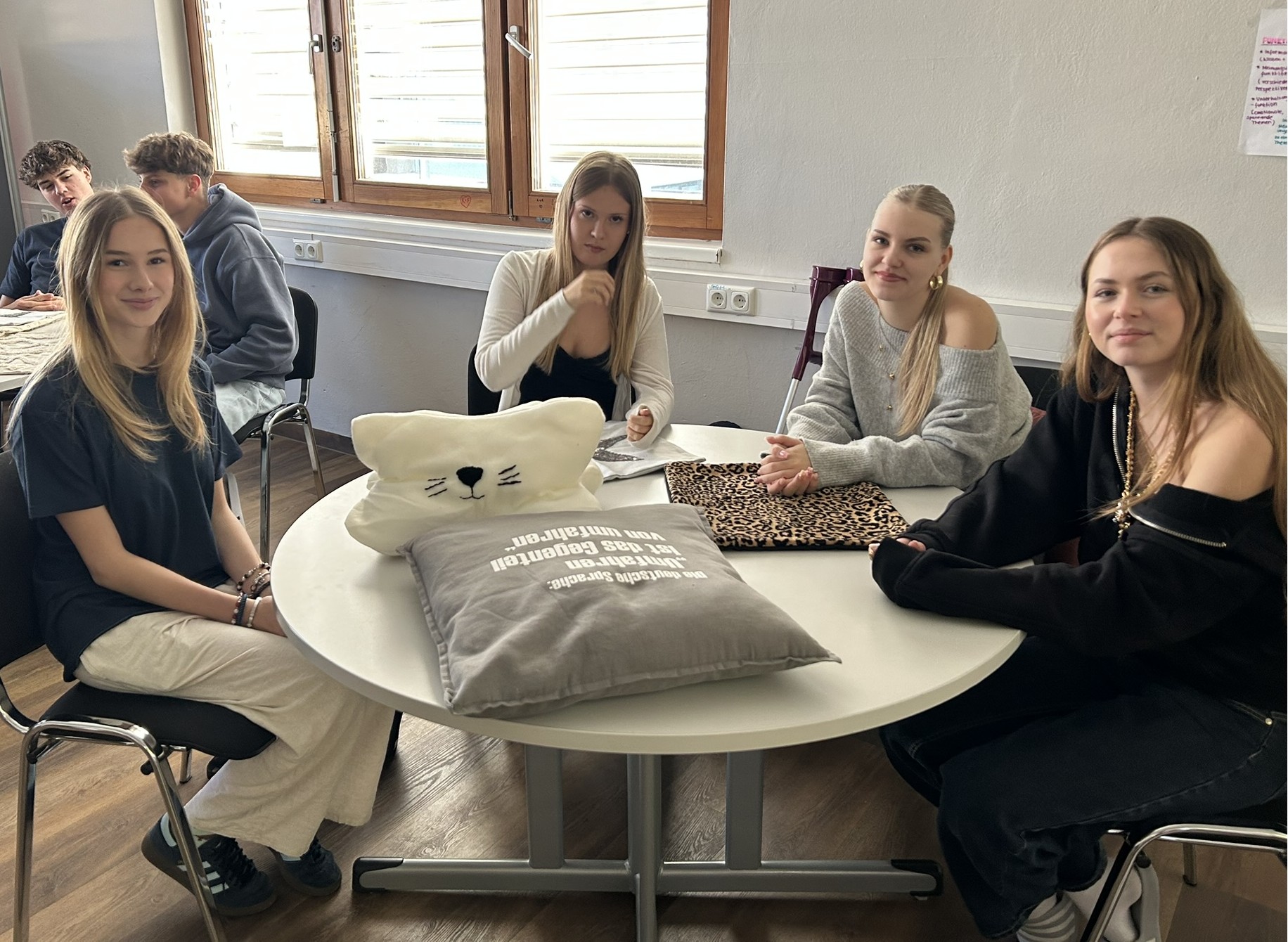 Junior Company der 2DHK – NUVANO - kooperiert mit „Proschlaf – Das Gesundheitshaus GmbH“--Bild-Nr. 5