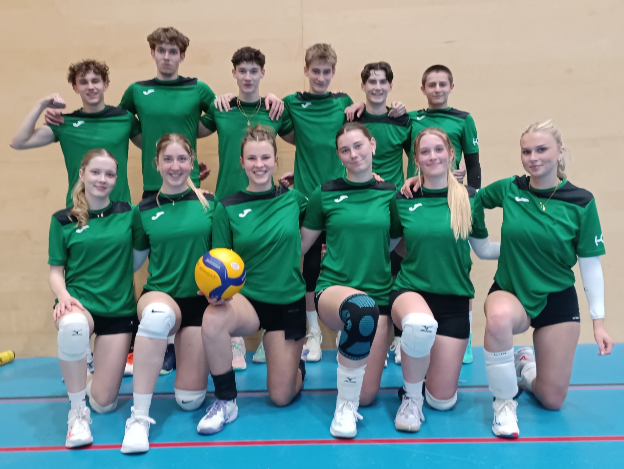 Volleyball-Mixed-Landesmeisterschaften --Bild-Nr. 2