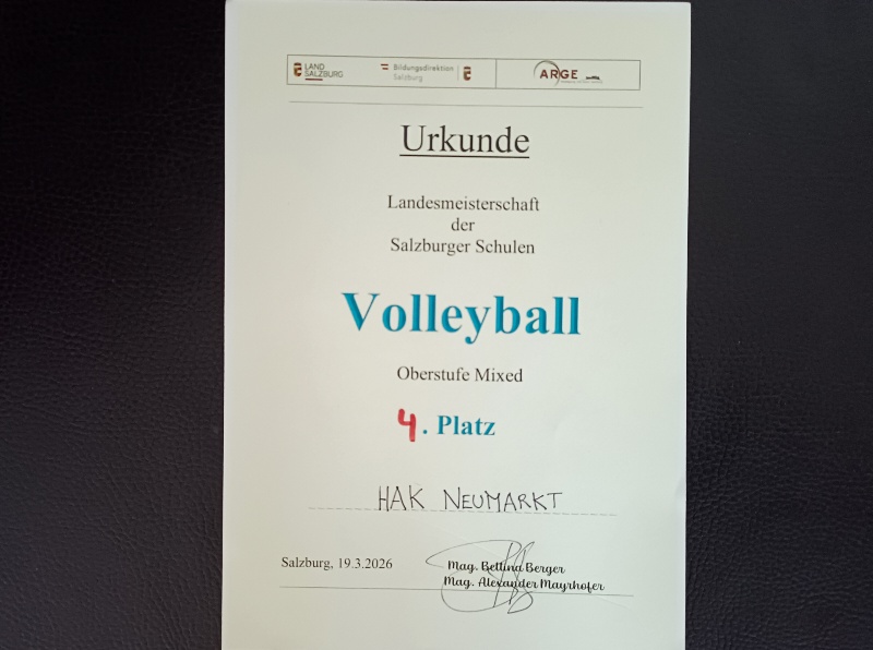 Volleyball-Mixed-Landesmeisterschaften --Bild-Nr. 3